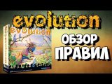 Эволюция Естественный отбор Обзор правил.