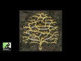 Английский летс-плей от rahdo