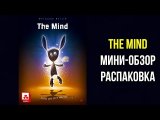 The Mind. Мини-обзор карточной игры. 4K.