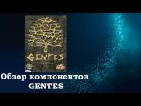 Gentes обзор компонентов