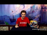 Бумажник. Обзор настольной игры от Игроведа.