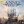 Anno 1800