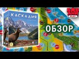 Обзор игры