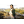 Napoleon against Europe