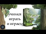 Правила и начало прохождения