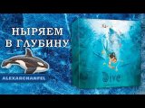 Dive настольная игра