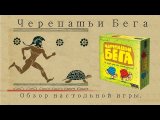 Обзор игры.